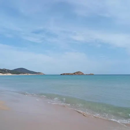 Degli Ulivi * Su Loi